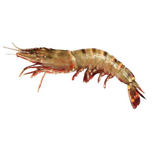 Prawn Taige Big (Sea) 1 Kg